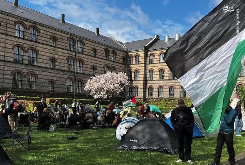 دانشجویان دانشگاه کپنهاگ دانمارک برای حمایت از غزه به پا خاستند.