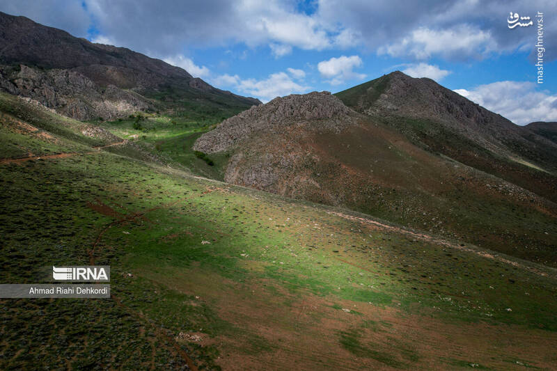 عکس/ طبیعت منطقه یومری