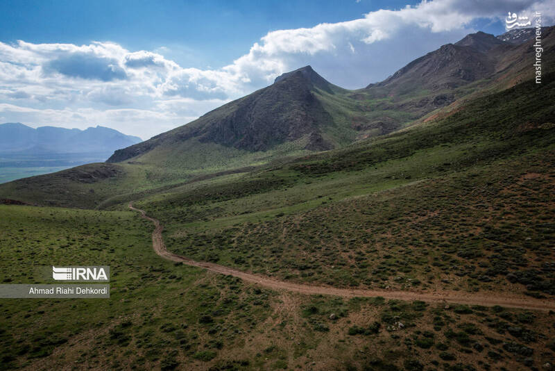 عکس/ طبیعت منطقه یومری