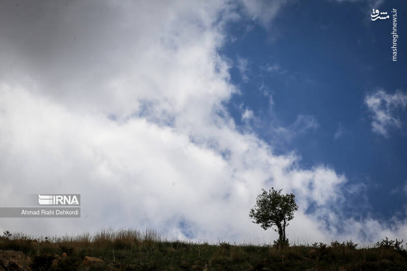 عکس/ طبیعت منطقه یومری