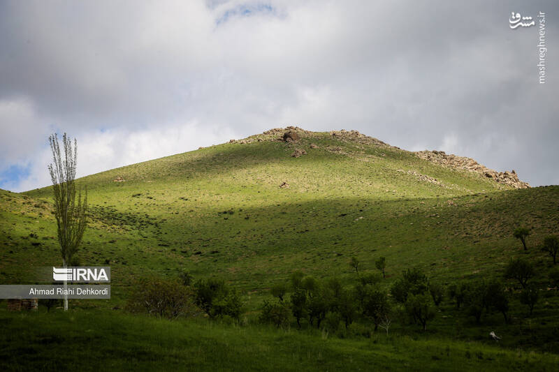 عکس/ طبیعت منطقه یومری