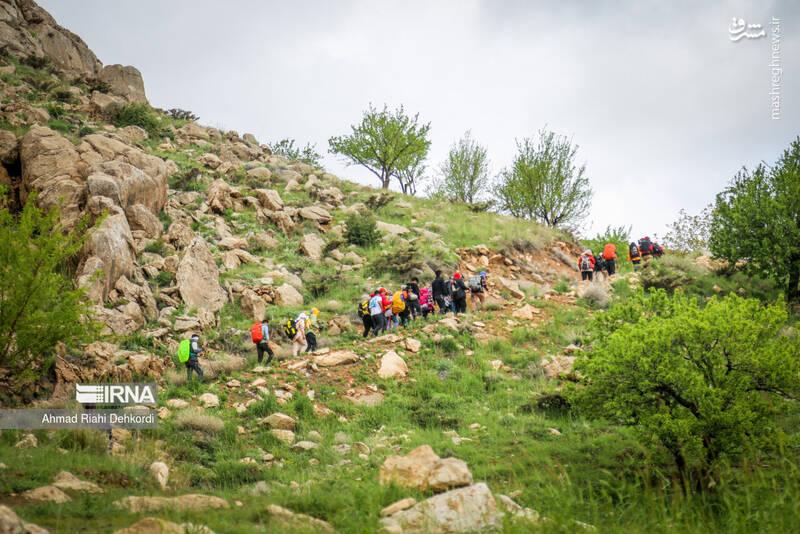 عکس/ طبیعت منطقه یومری