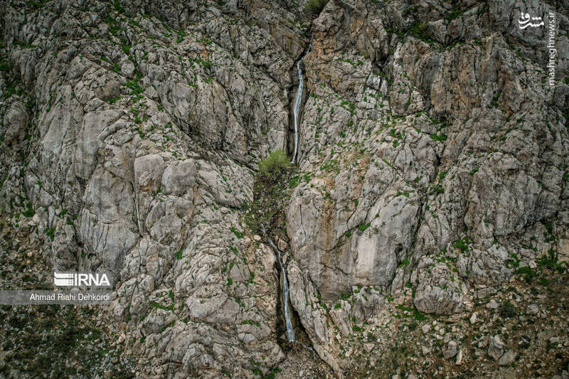 عکس/ طبیعت منطقه یومری