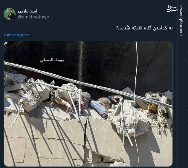 تصویری از یک جنایت که بار دیگر سکوتها را نشانه رفت