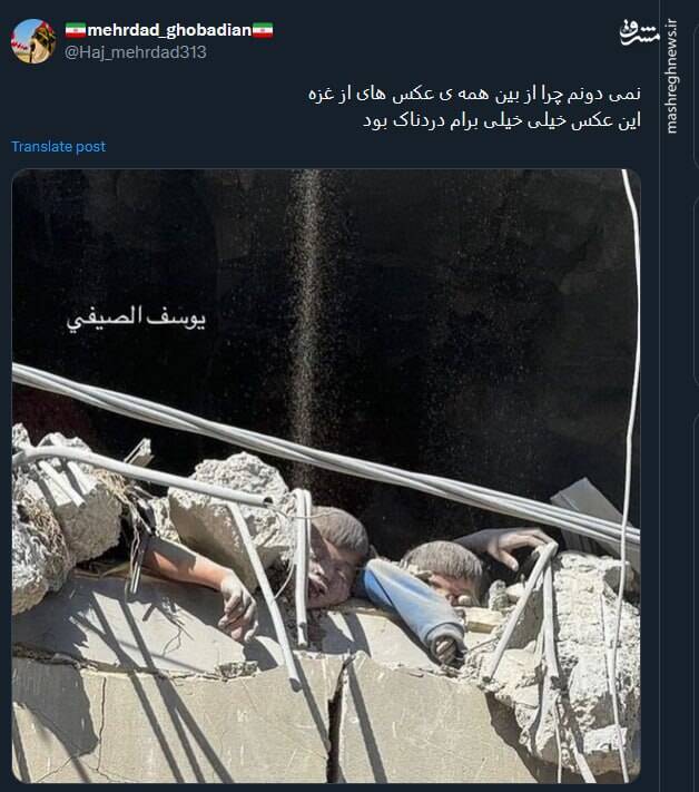 تصویری از یک جنایت که بار دیگر سکوتها را نشانه رفت