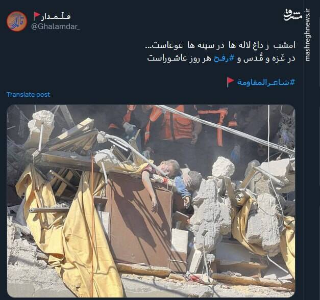 تصویری از یک جنایت که بار دیگر سکوتها را نشانه رفت