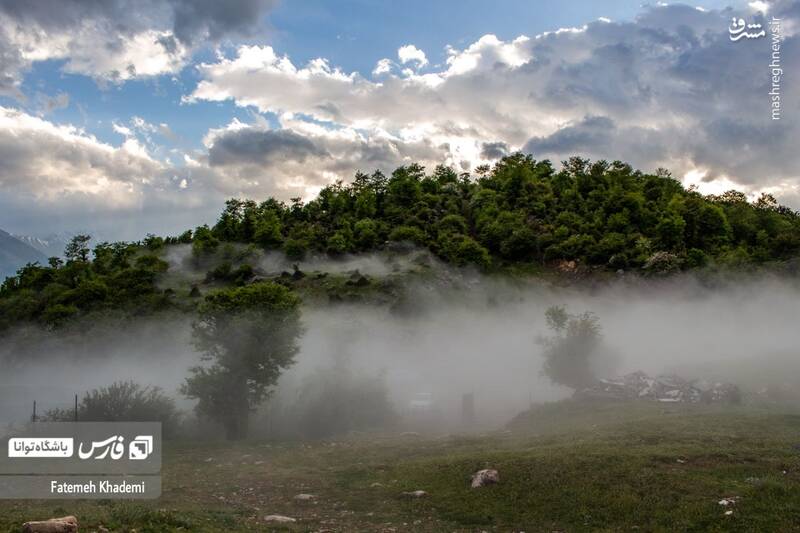 عکس/ طبیعت مه آلود پیمبور