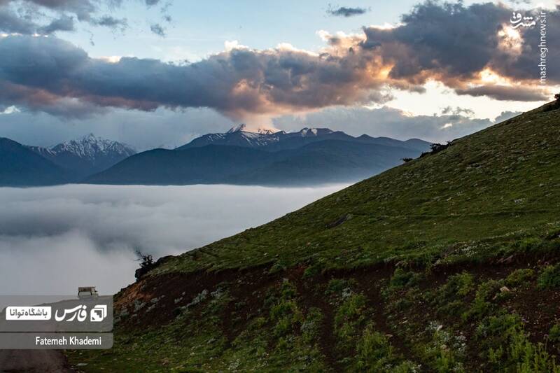 عکس/ طبیعت مه آلود پیمبور