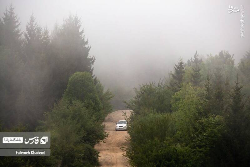 عکس/ طبیعت مه آلود پیمبور