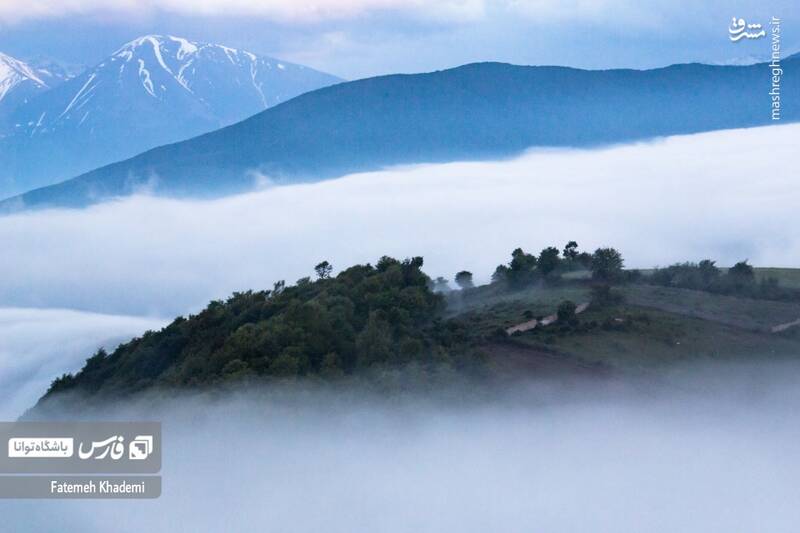 عکس/ طبیعت مه آلود پیمبور