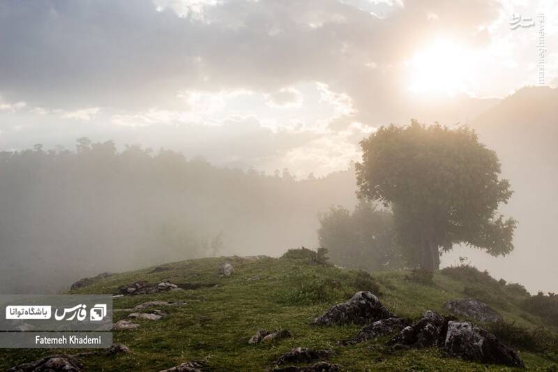 عکس/ طبیعت مه آلود پیمبور