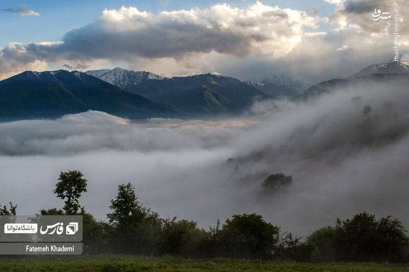 عکس/ طبیعت مه آلود پیمبور