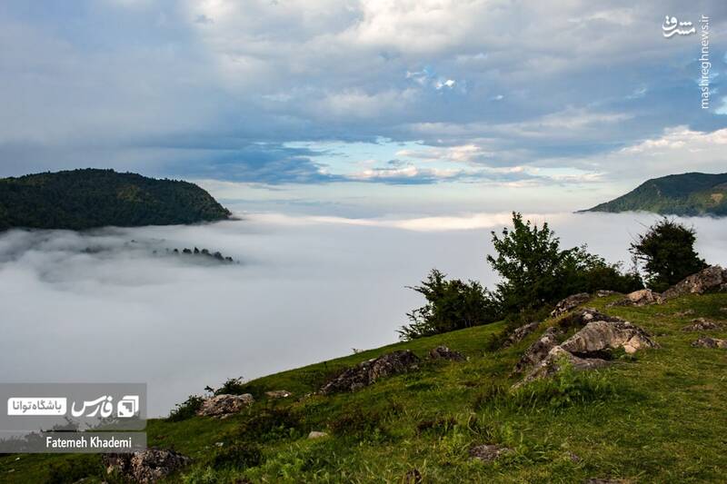 عکس/ طبیعت مه آلود پیمبور