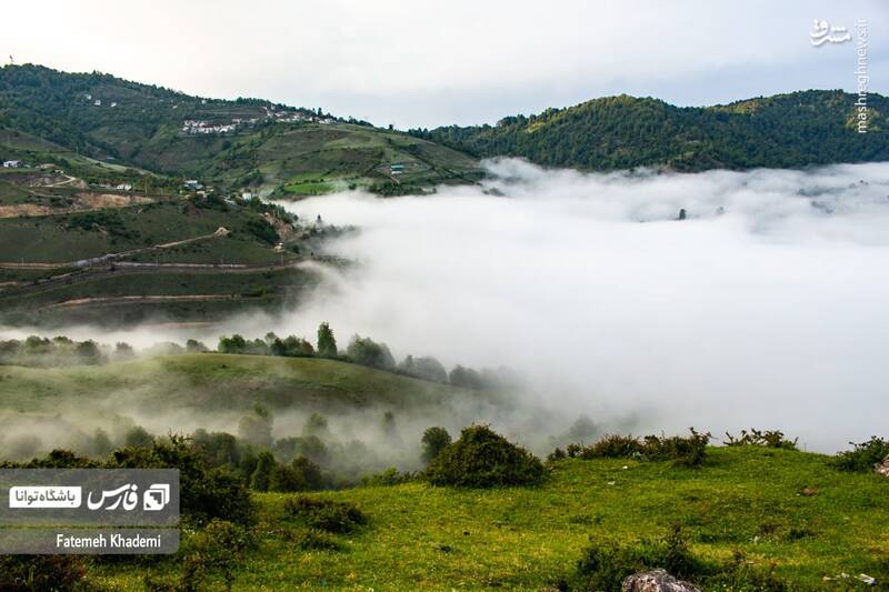عکس/ طبیعت مه آلود پیمبور