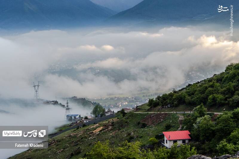 عکس/ طبیعت مه آلود پیمبور