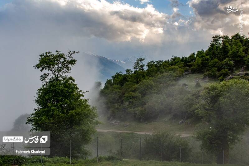 عکس/ طبیعت مه آلود پیمبور