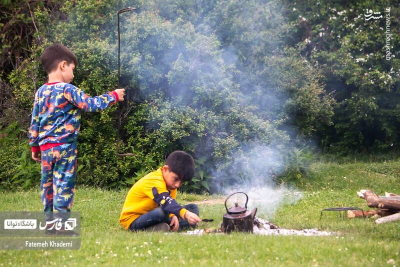 عکس/ طبیعت مه آلود پیمبور