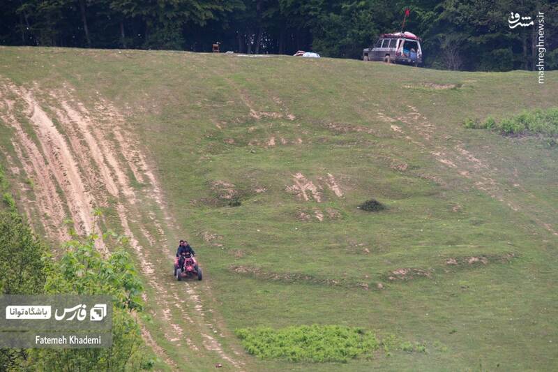 عکس/ طبیعت مه آلود پیمبور