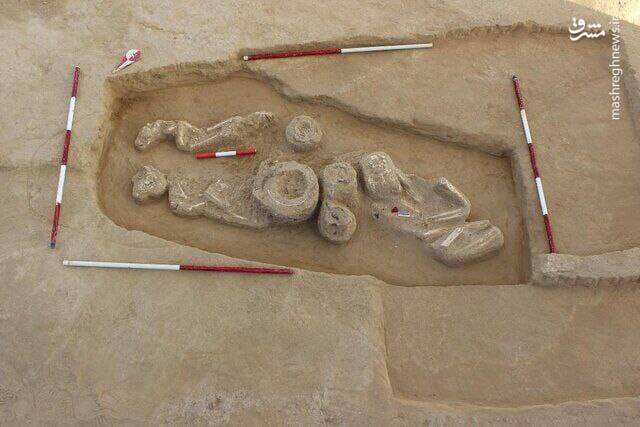 کشف یک گور تاریخی در عملیات راهسازی اردبیل +عکس