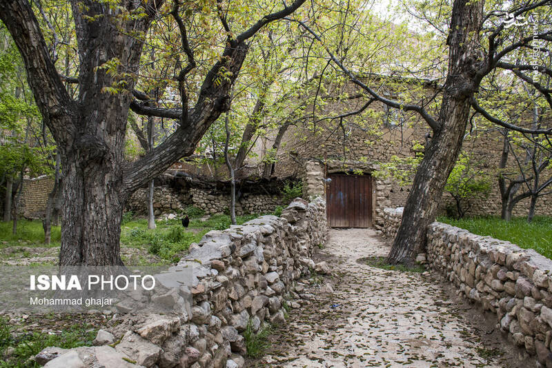 عکس / روستای تاریخی و گردشگری اسفیدان 4