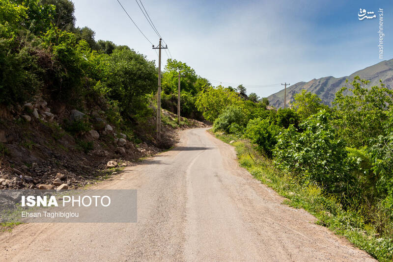 عکس / بهار در طارم 23
