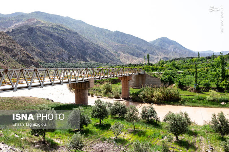 عکس / بهار در طارم 3