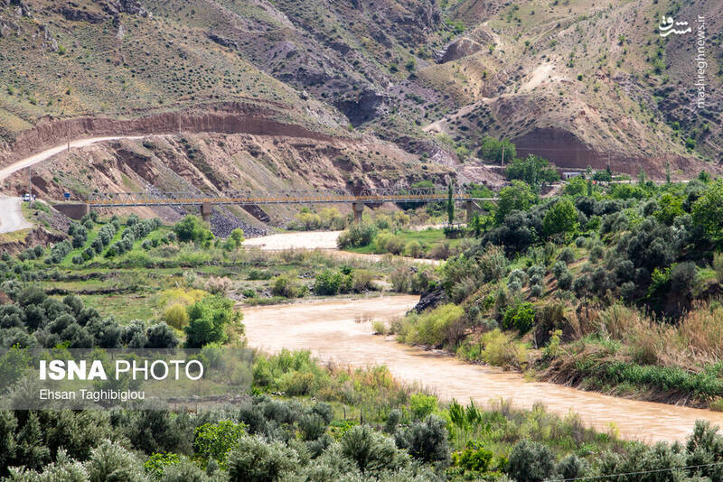 عکس / بهار در طارم 21