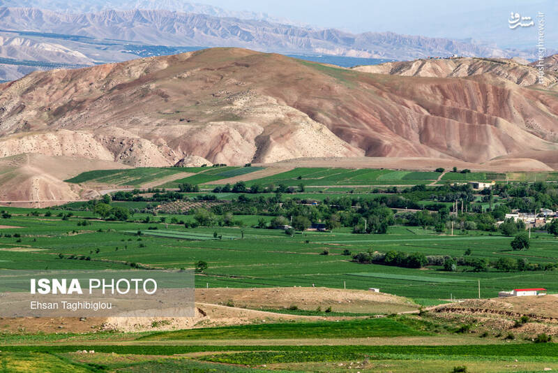عکس / بهار در طارم 20
