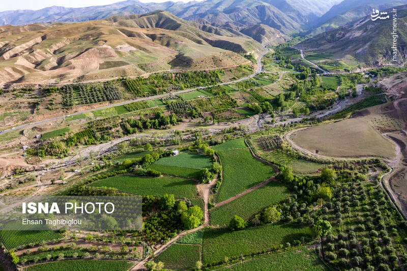 عکس / بهار در طارم 14
