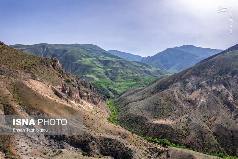 عکس / بهار در طارم 19