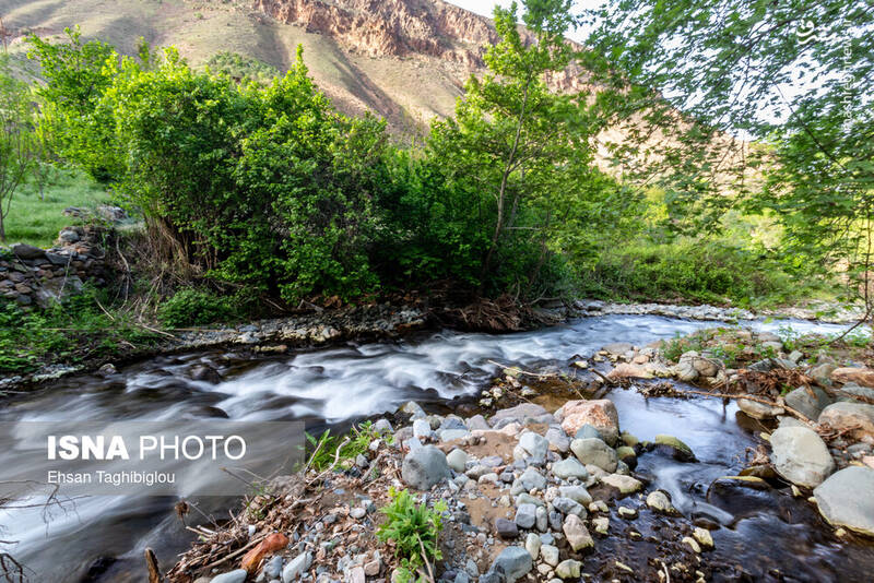 عکس / بهار در طارم 16