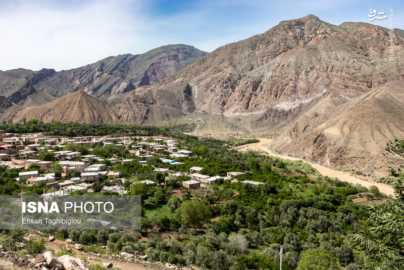 عکس / بهار در طارم 15