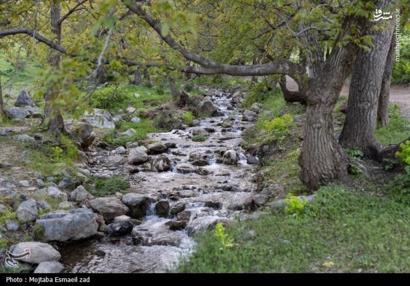 عکس/ طبیعت بهاری دره خان ارومیه