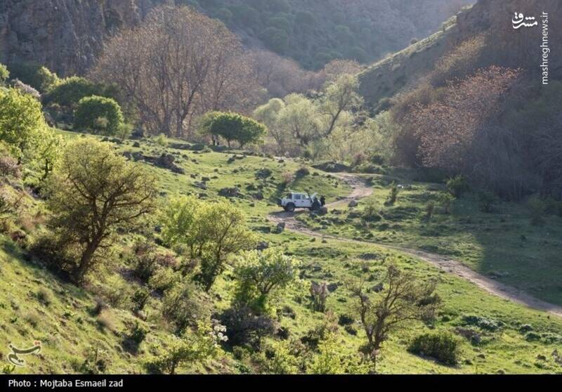 عکس/ طبیعت بهاری دره خان ارومیه