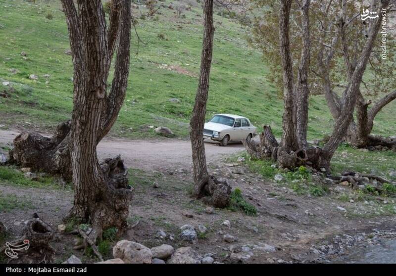 عکس/ طبیعت بهاری دره خان ارومیه