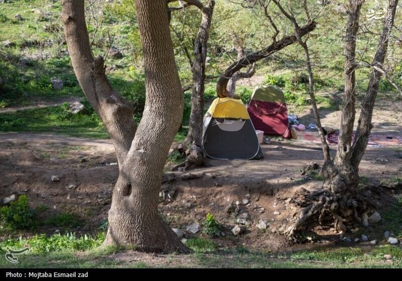 عکس/ طبیعت بهاری دره خان ارومیه