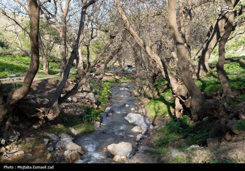 عکس/ طبیعت بهاری دره خان ارومیه