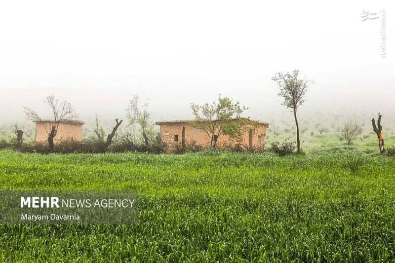 عکس/ طبیعت اردیبهشتی خراسان شمالی