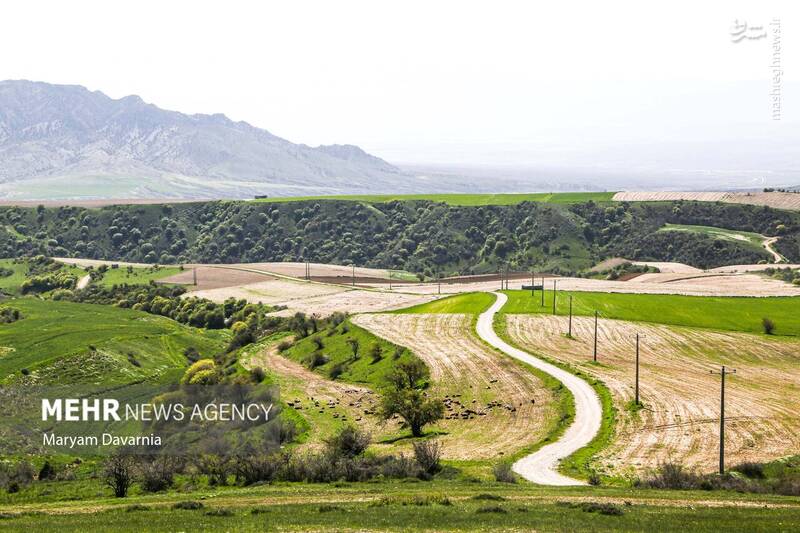 عکس/ طبیعت اردیبهشتی خراسان شمالی