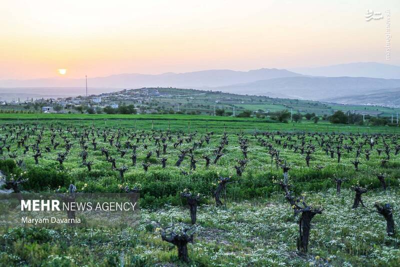 عکس/ طبیعت اردیبهشتی خراسان شمالی
