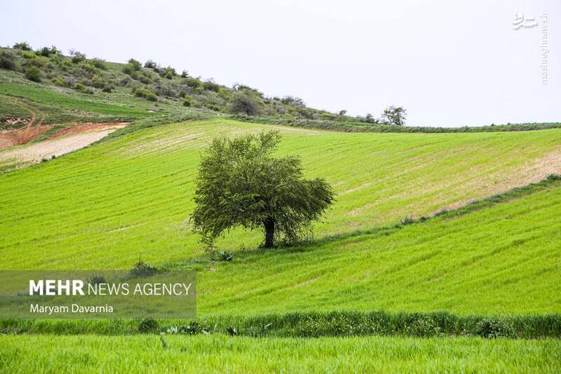 عکس/ طبیعت اردیبهشتی خراسان شمالی