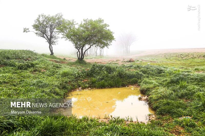 عکس/ طبیعت اردیبهشتی خراسان شمالی
