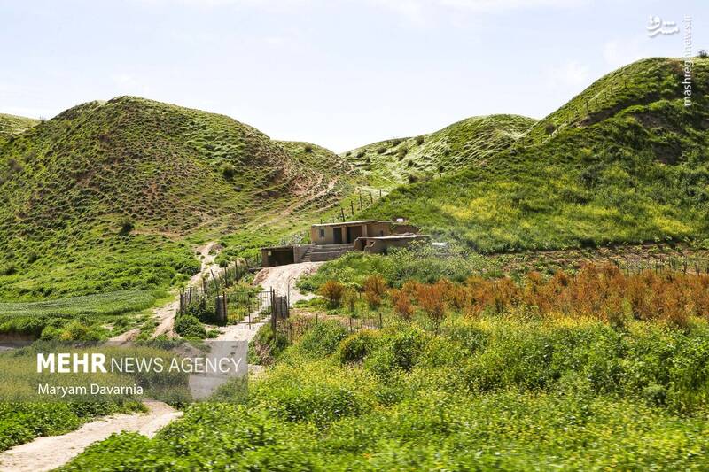 عکس/ طبیعت اردیبهشتی خراسان شمالی