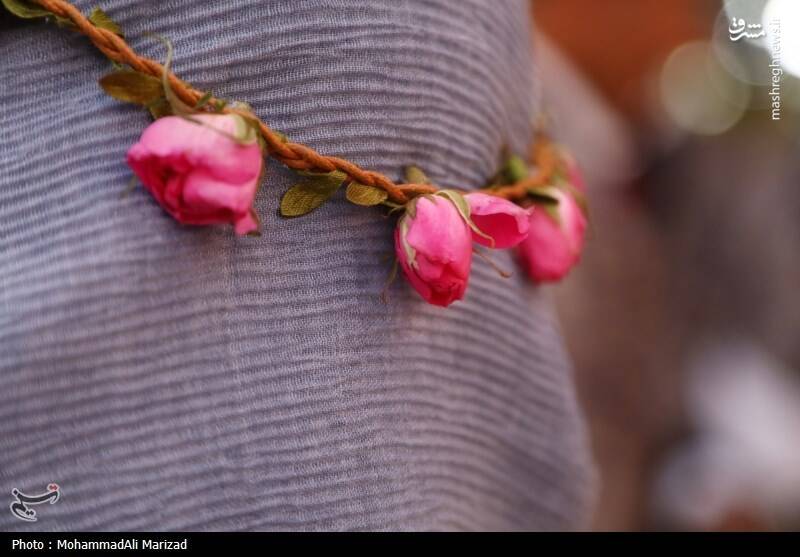 عکس/ جشنواره گل و گلاب در محلات
