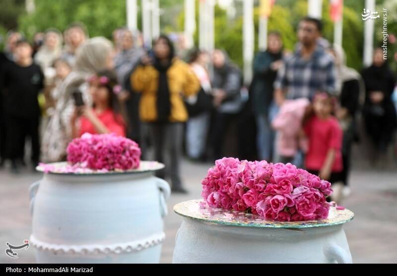 عکس/ جشنواره گل و گلاب در محلات