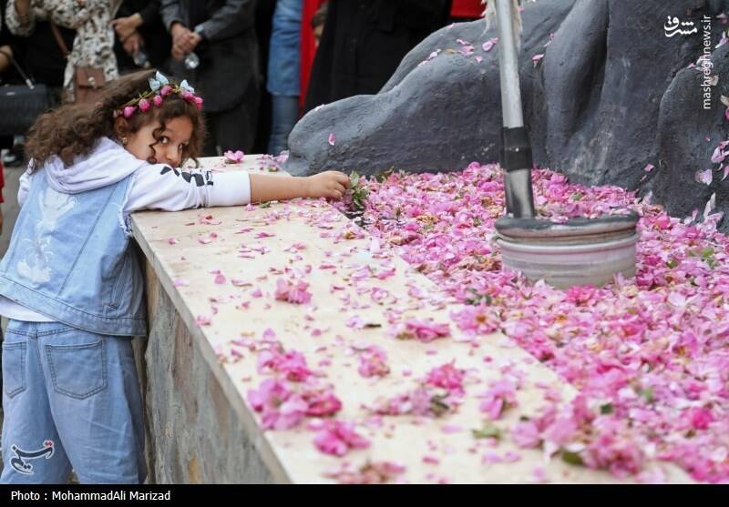 عکس/ جشنواره گل و گلاب در محلات