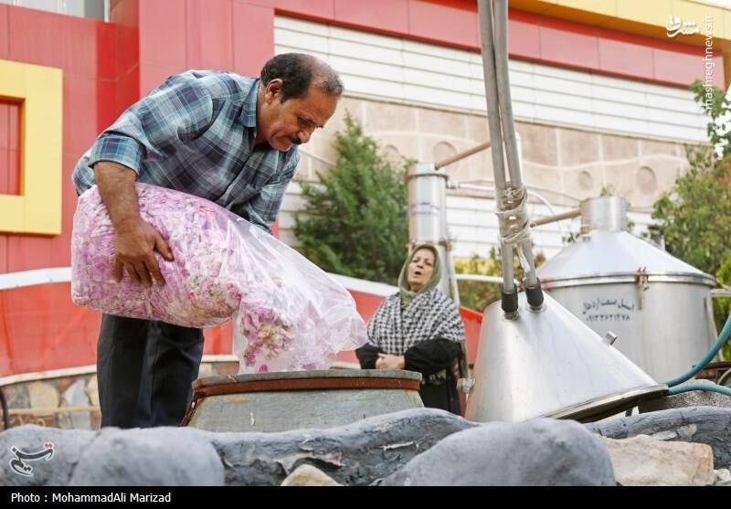 عکس/ جشنواره گل و گلاب در محلات