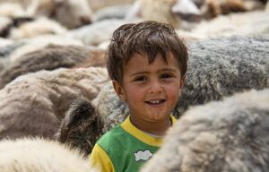 عکس / خانواده عشایری در استان فارس