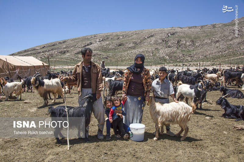 عکس / خانواده عشایری در استان فارس 26