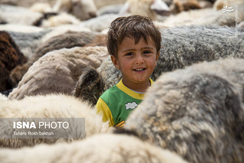 عکس / خانواده عشایری در استان فارس 21